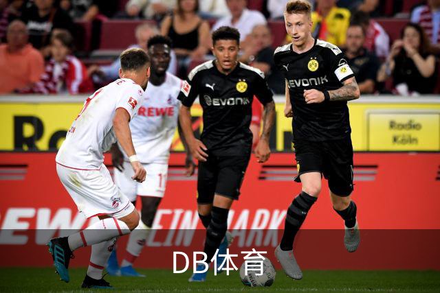 DB体育企业介绍图